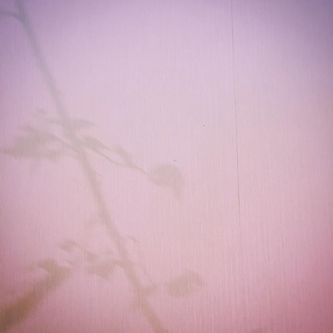 undefined 게시물 이미지: 