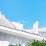 yvesrose_haus 프로필 사진