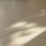 leeve.official 프로필 사진