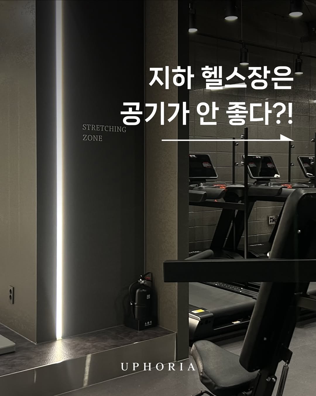 uphoria_mia_1 게시물 이미지: @uphoria_gym_1 🪩

24시간 헬스장, 지하 헬스장에 대한 편견을 깨기...