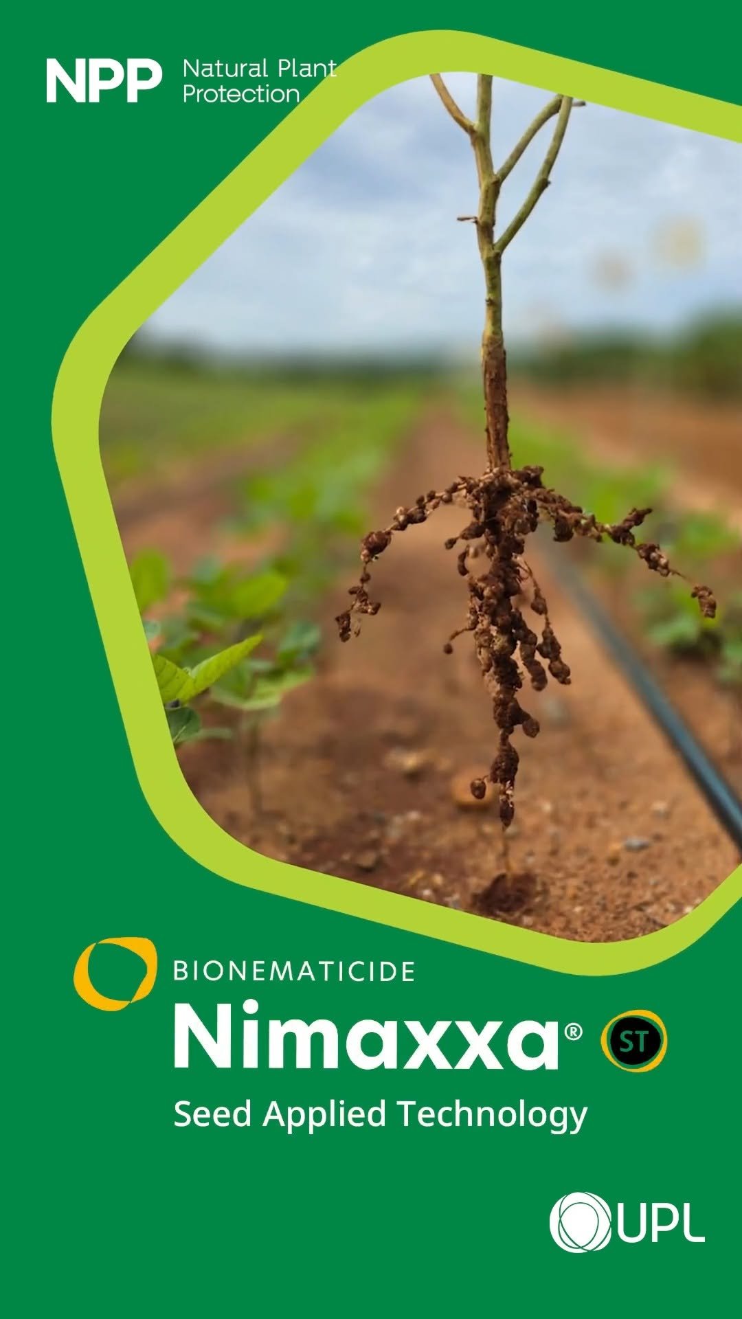 uplcorp 게시물 이미지: Nematodes can severely damage crops, attacking...