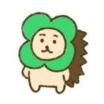 lucky_ddachi 프로필 사진