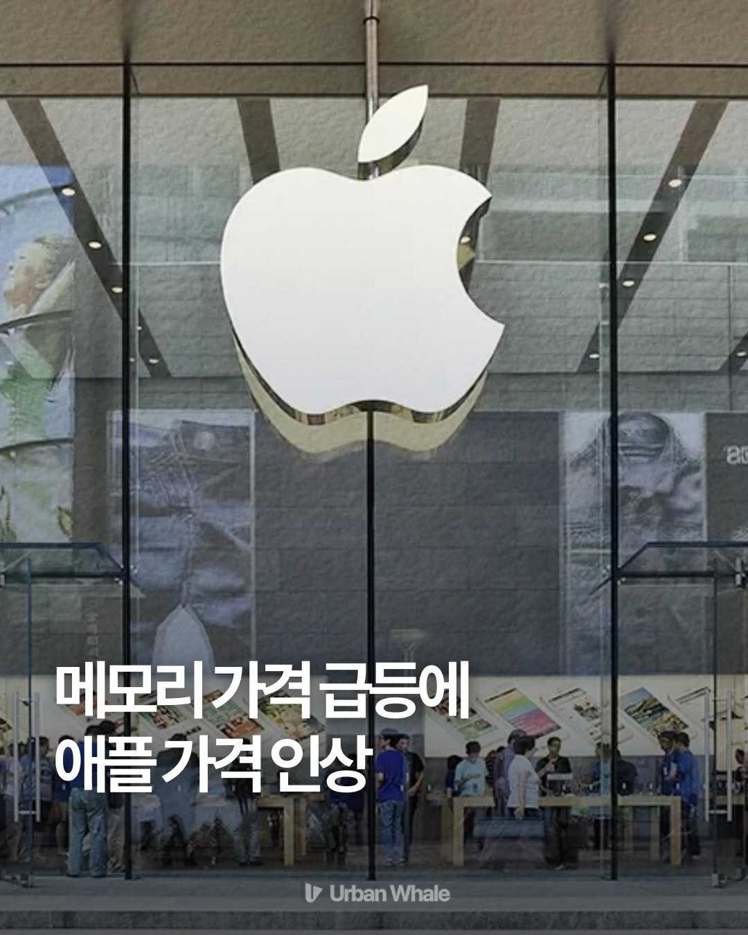 urbanwhale_kr 게시물 이미지: 🤖🌊📱

애플이 메모리 비용 급등을 이유로 가격 인상을 발표했습니다. 팀 쿡은...