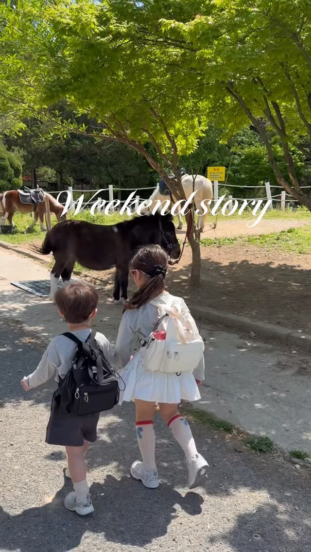 urra_story 게시물 이미지: 주말에 아이 둘 데리고 다녀온 목장🖤
진짜 내 자신 칭찬해..ㅋㅋㅋㅋㅋ 

이제서야...