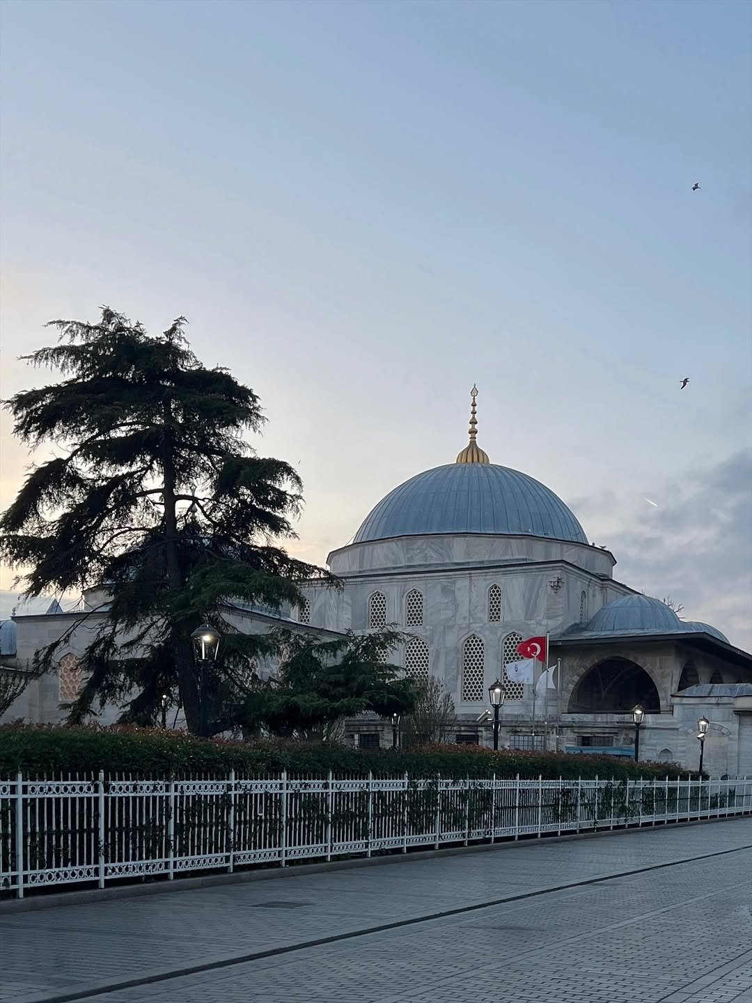 Photo by 김희수 on November 08, 2025. May be an image of text.