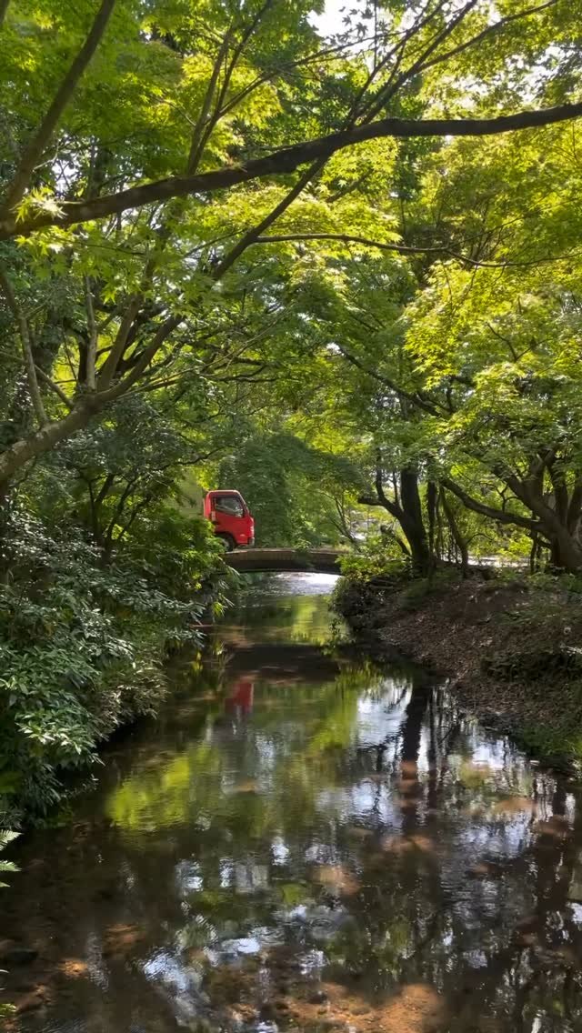 uuoyoss 게시물 이미지: 