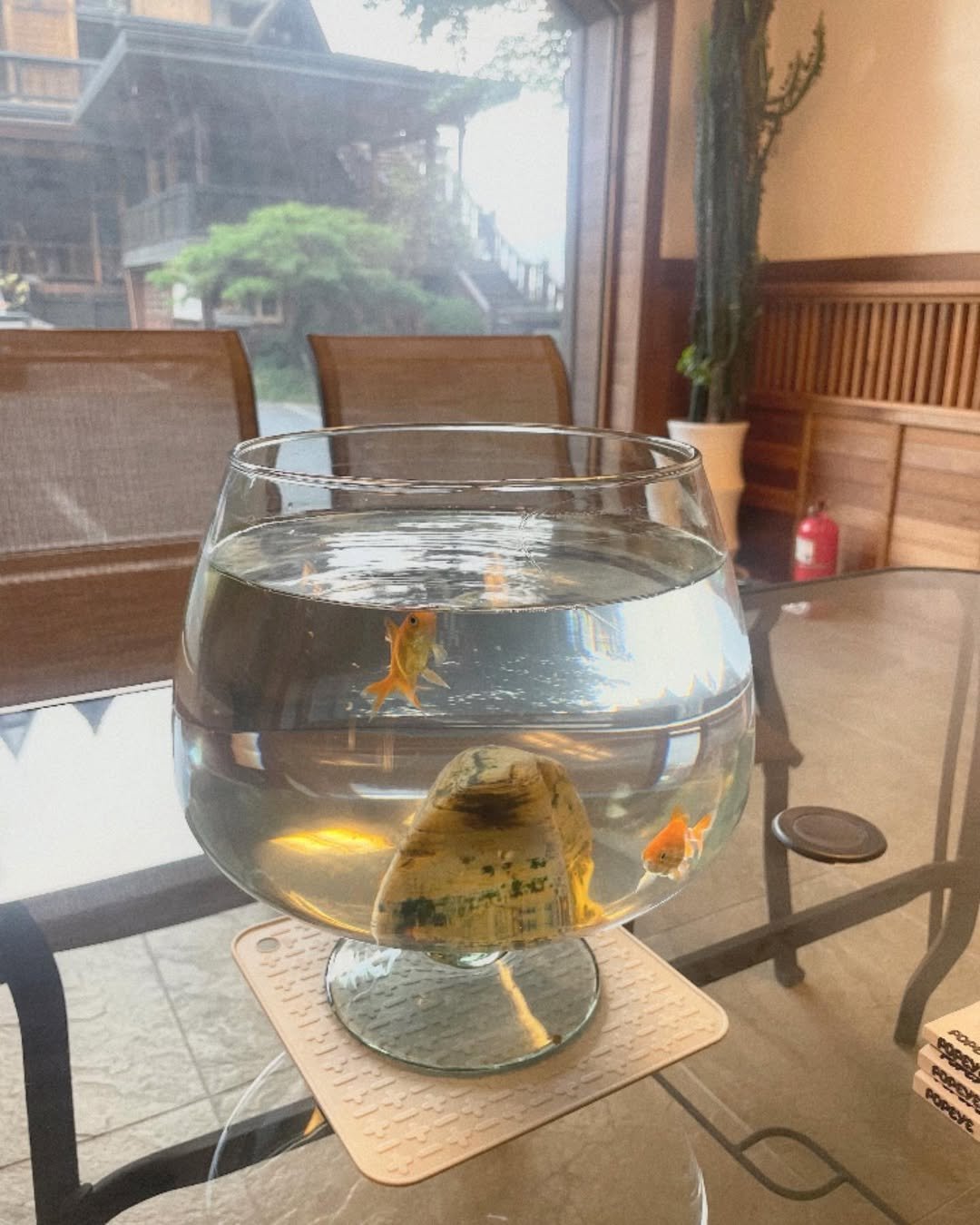 Photo by 박소유 on August 07, 2024.