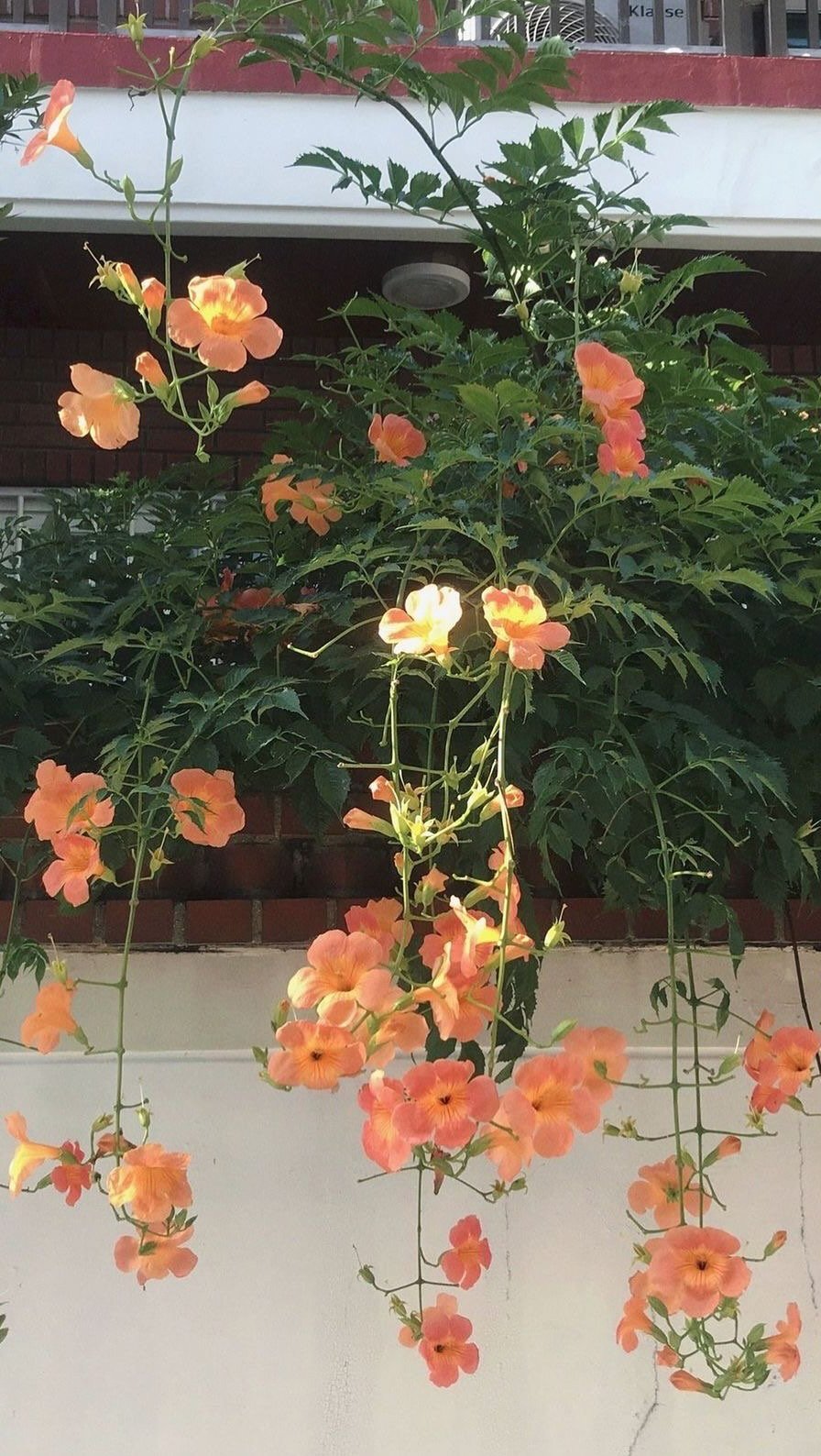 uuuuuuu_haru 게시물 이미지: 이번엔 안싸우고 잘다녀왔다는 뜻^^💛