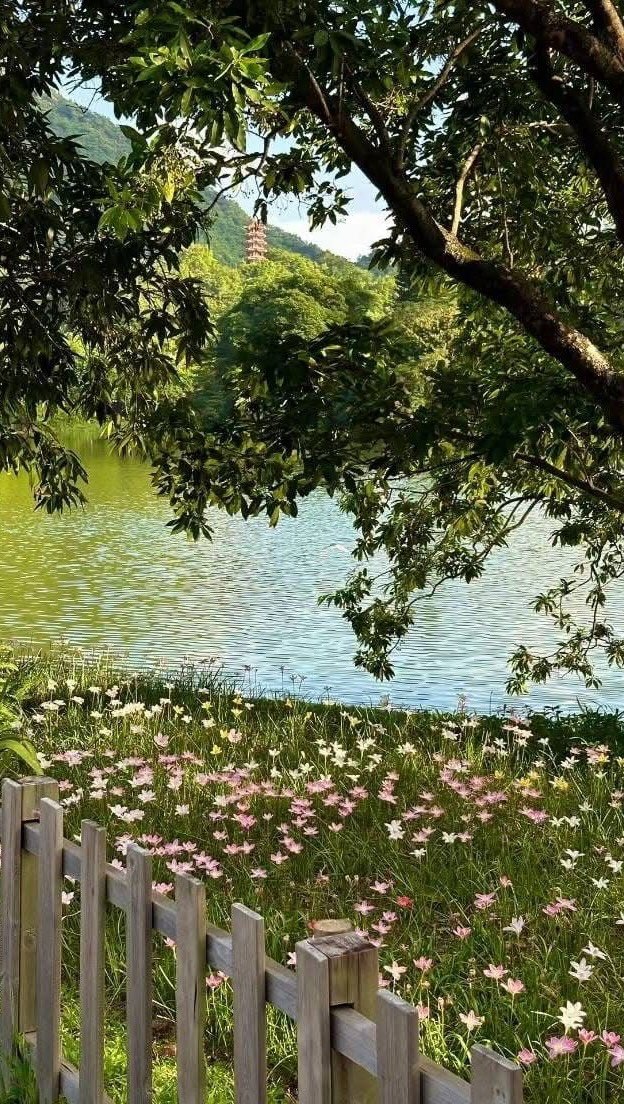 uuuuuuu_haru 게시물 이미지: 핫걸 언니 미모에 정신 잃고 에어팟 못돌려줬어여ㅠㅠ