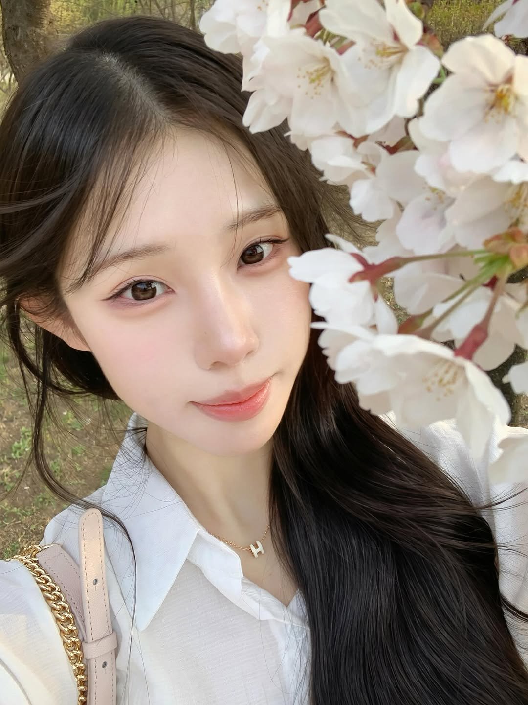 uxzic_ 게시물 이미지: 벚꽃 막차 ••🌸