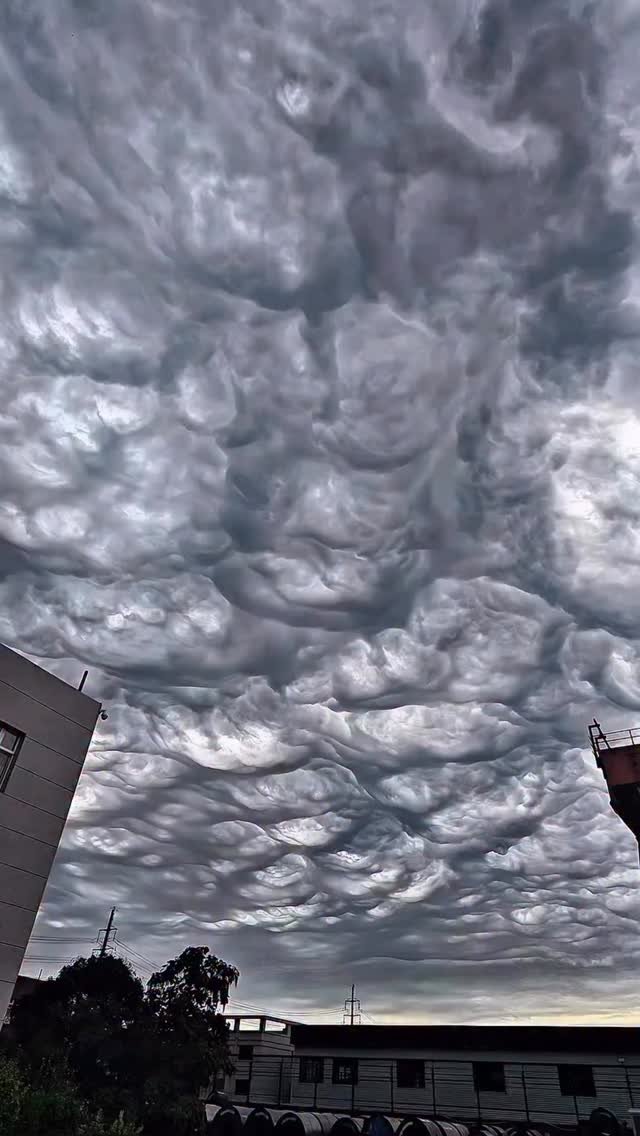 uzaybilimlerii 게시물 이미지: Undulatus Asperatus bulutları ☁️
Bu bulutlar,...