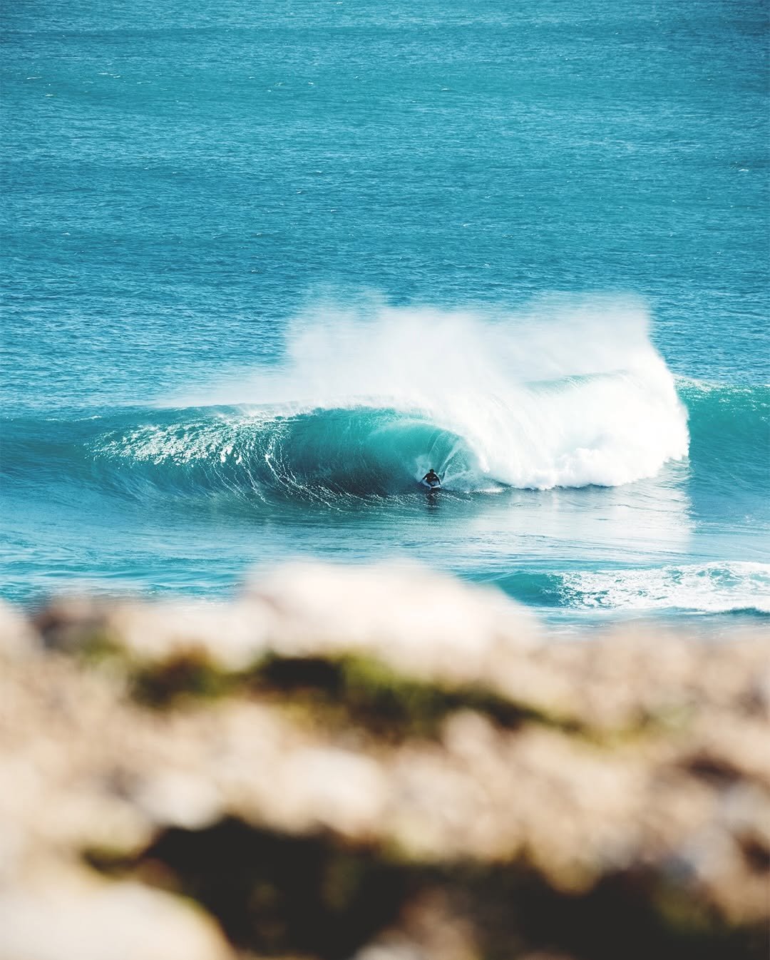 Photo shared by Vans Surf on February 17, 2026 tagging @harrybryant, @surfersjournal, and @lobster_cooked. May be an image of surfboard, wetsuit, ocean, water and text.