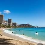 surf 프로필 사진