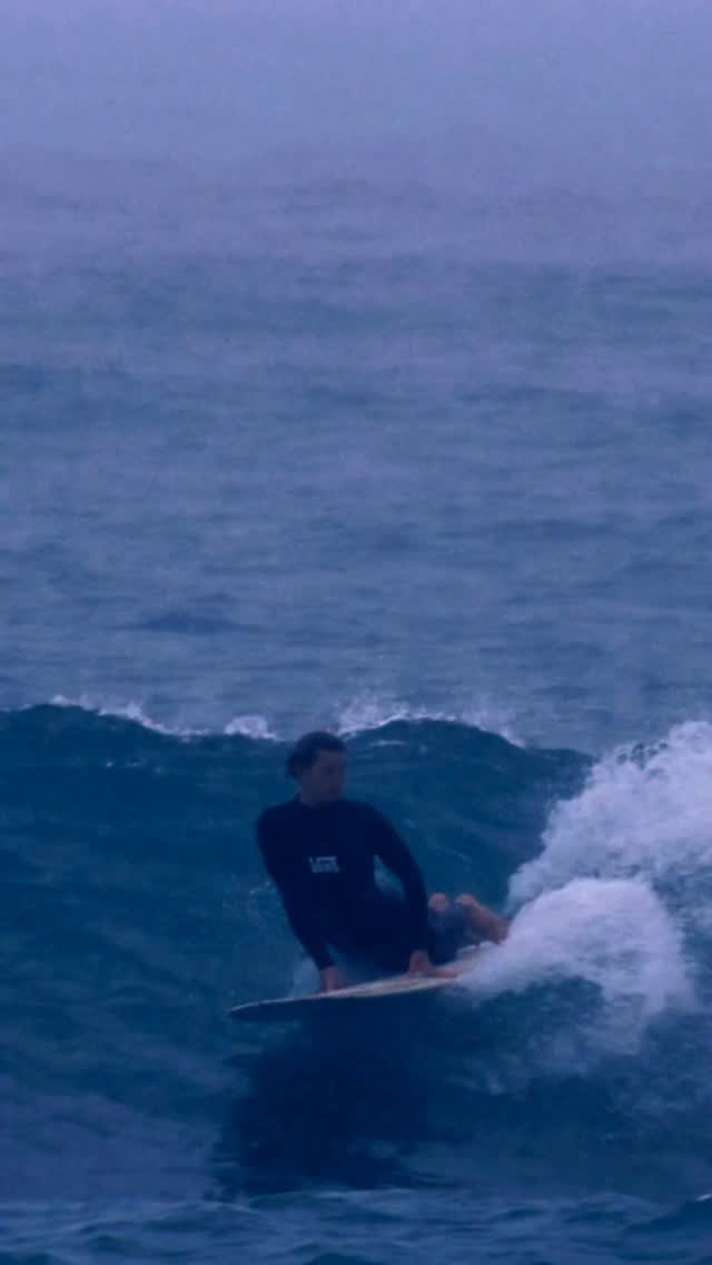 vanssurf 게시물 이미지: A welcome sight. @toshtudor dusting off the...