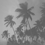 elidannn_ 프로필 사진