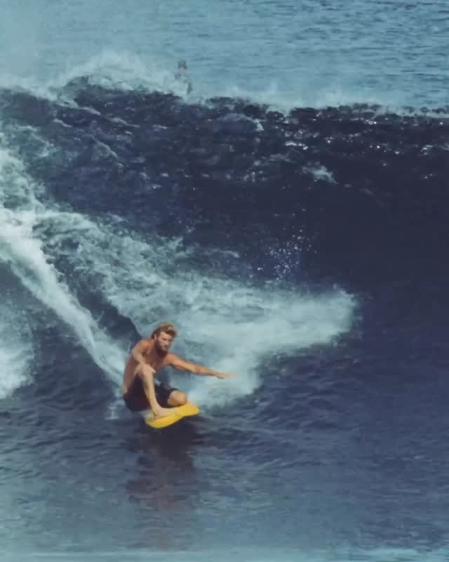 vanssurf 게시물 이미지: DK ain’t dead. @harrybryant with an...