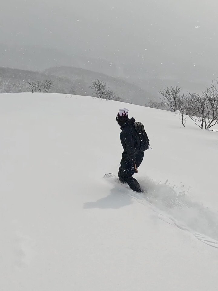 vanssurf 게시물 이미지: Looks a whole lot better than howling trades...