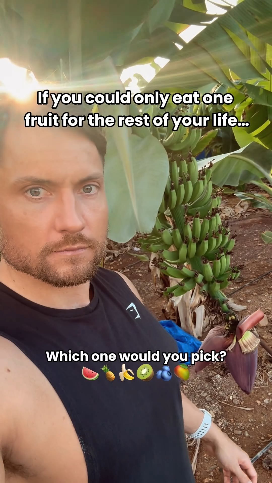 veganbowls 게시물 이미지: If you had to choose just one fruit to eat for...