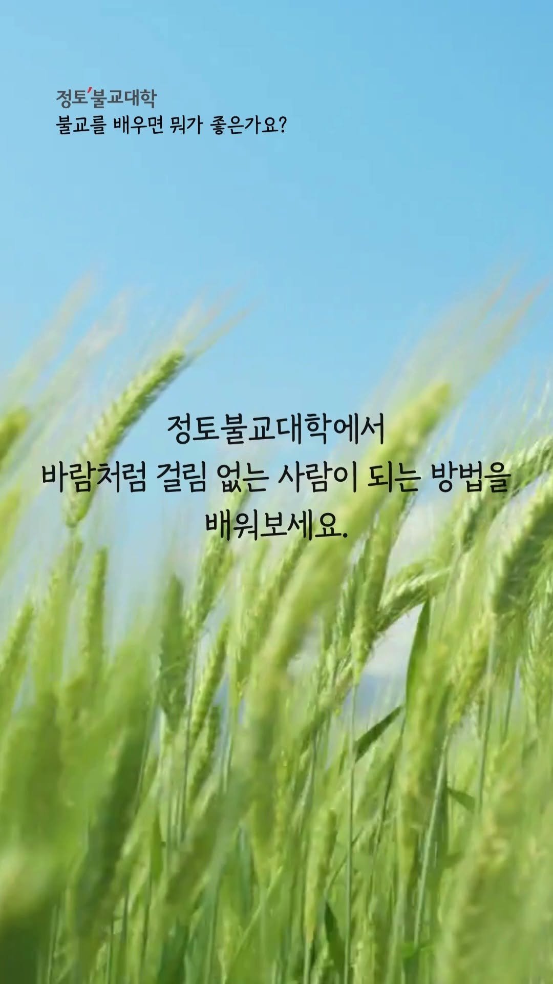 ven.pomnyun 게시물 이미지: "얻으려는 생각이 없으면 마치 바람이 그물에 걸림이 없는 것처럼 그냥...