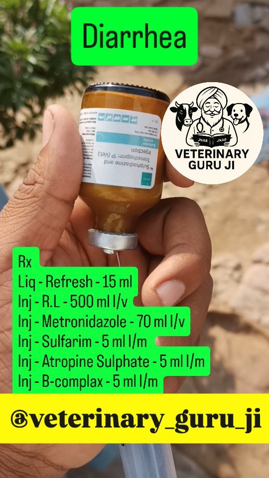 veterinary_guru_ji 게시물 이미지: Diarrhea 
#veterinaryguruji 
#seemadairyfarm...