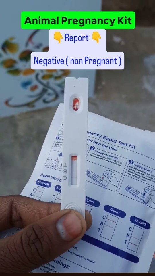 veterinary_guru_ji 게시물 이미지: Animal Pregnancy Kit
#veterinaryguruji...
