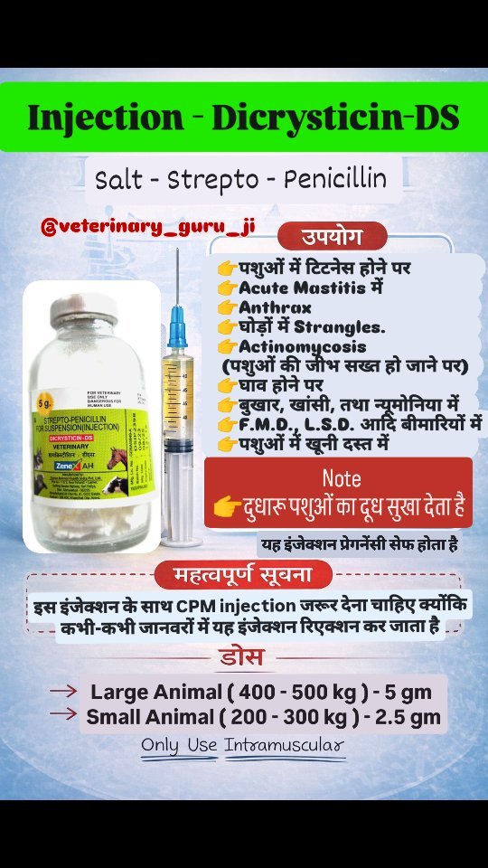 veterinary_guru_ji 게시물 이미지: Injection - DCR
#veterinaryguruji 
#pawanrulhaniya