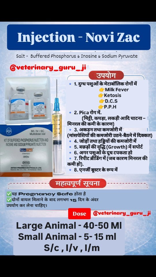 veterinary_guru_ji 게시물 이미지: Novi Zac
#veterinaryguruji...