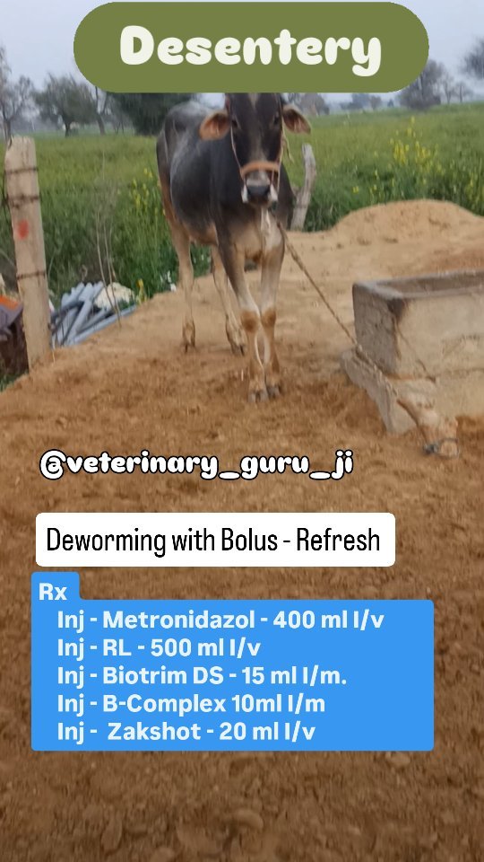 veterinary_guru_ji 게시물 이미지: Desentery 
#veterinaryguruji 
#pawanrulhaniya...
