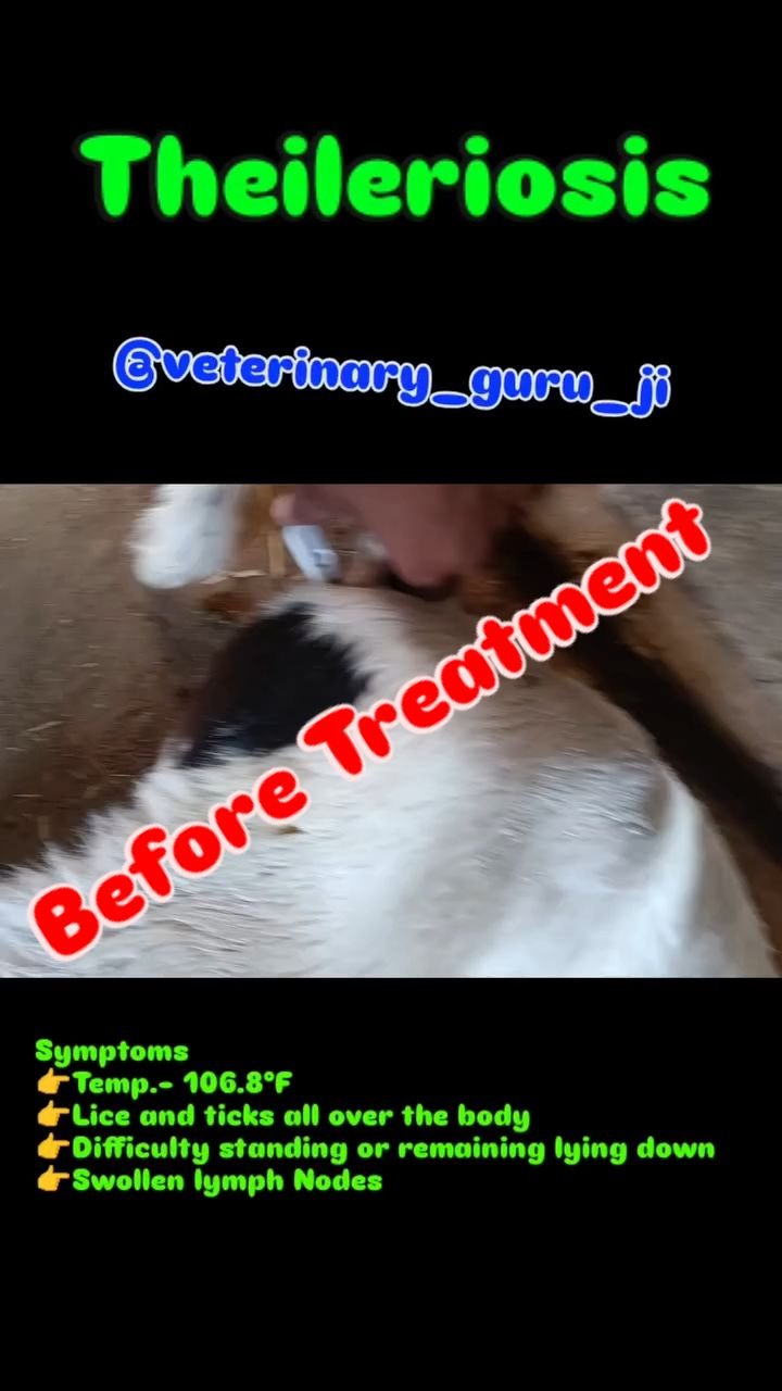 veterinary_guru_ji 게시물 이미지: #veterinaryguruji 
#pawanrulhaniya