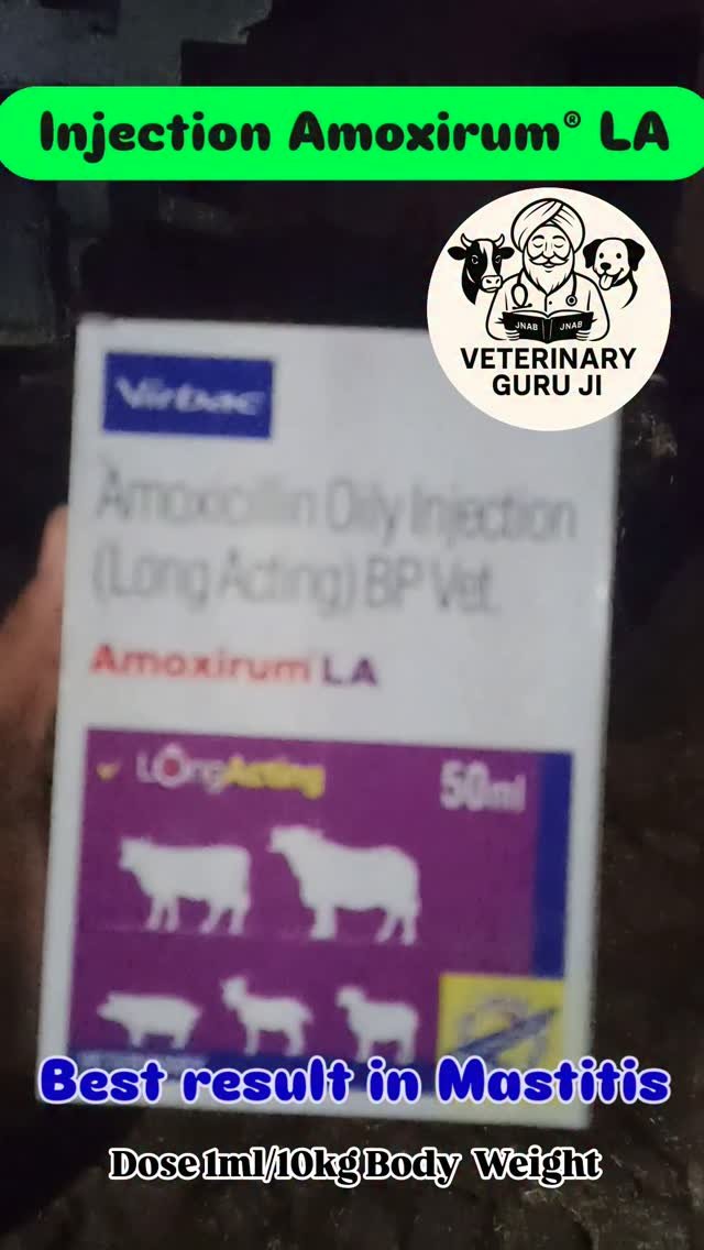 veterinary_guru_ji 게시물 이미지: Injection Amoxirum ® LA 

#veterinaryguruji...