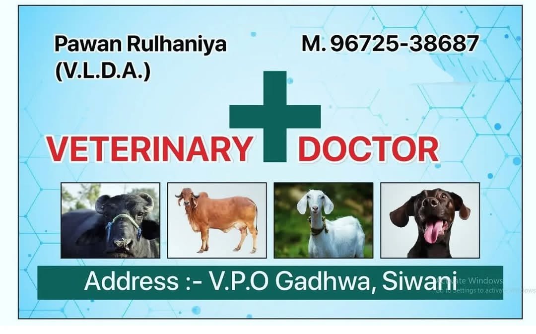Photo by Veterinary Guru Ji on June 15, 2025.