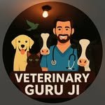 veterinary_guru_ji 인스타그램 프로필 사진
