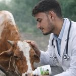 veterinary_guru_ji 인스타그램 프로필 사진