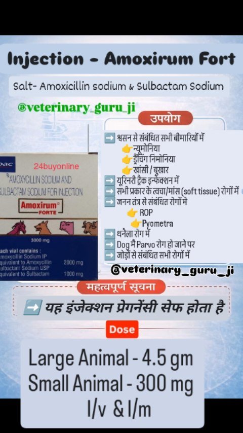 veterinary_guru_ji 게시물 이미지: Injection - Amoxirum Fort 

#veterinaryguruji...