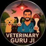 veterinary_guru_ji 인스타그램 프로필 사진