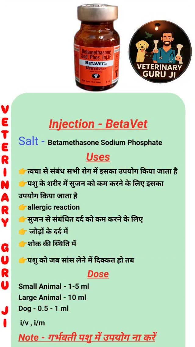 veterinary_guru_ji 게시물 이미지: Betavet 
#veterinaryguruji...