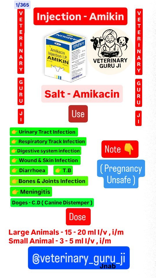 veterinary_guru_ji 게시물 이미지: Amikacin 
#veterinaryguruji...