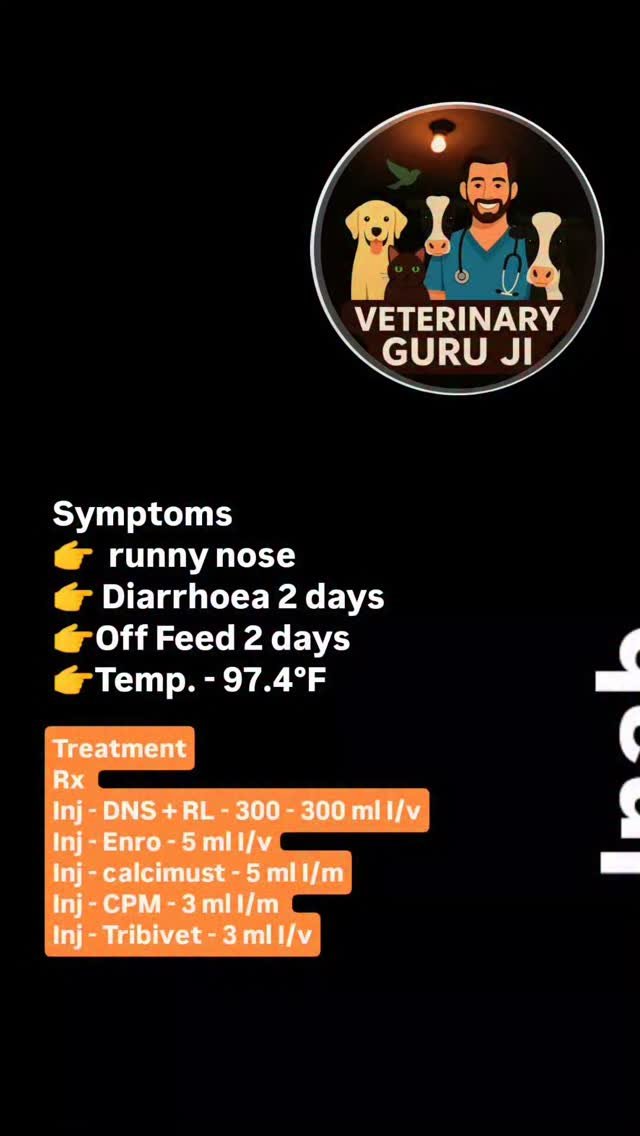 veterinary_guru_ji 게시물 이미지: #veterinaryguruji 
#rulhaniyadairyfarm...