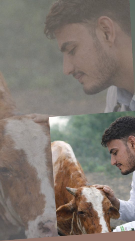 veterinary_guru_ji 게시물 이미지: 😊