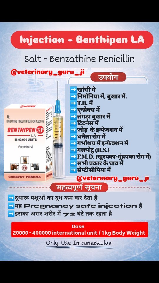 veterinary_guru_ji 게시물 이미지: Injection - Benthipen LA
#veterinaryguruji...