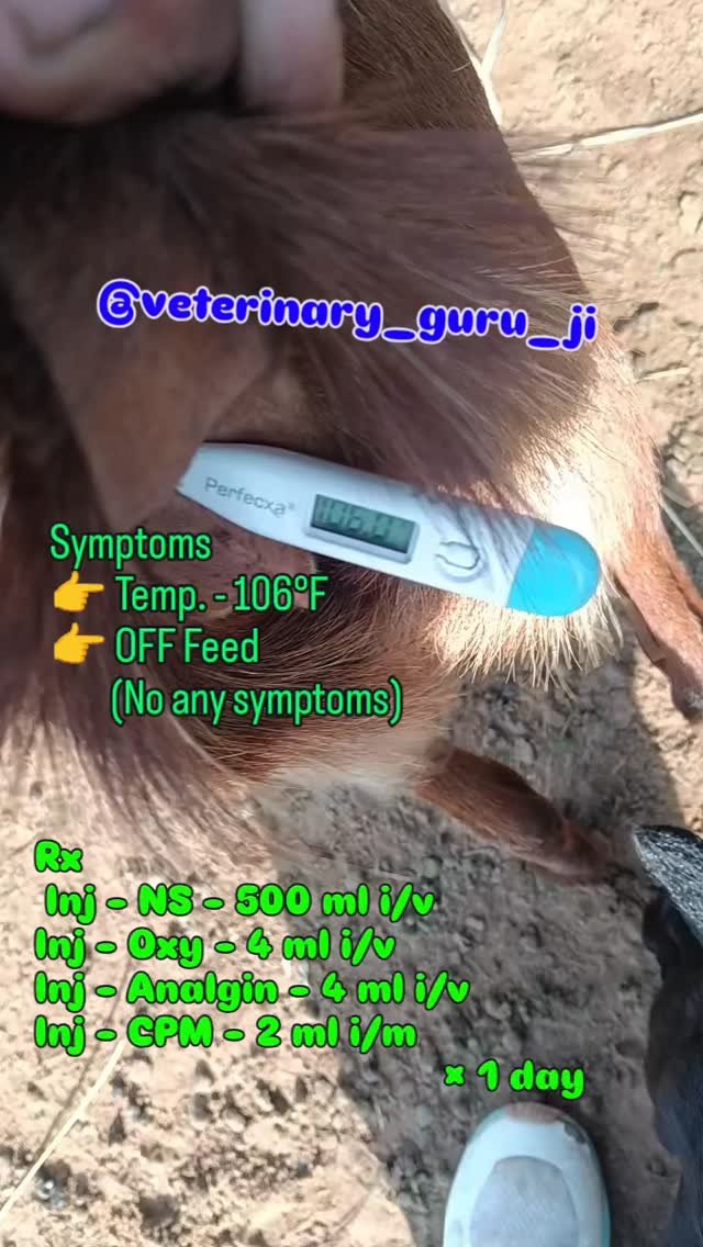 veterinary_guru_ji 게시물 이미지: #veterinaryguruji 
#rulhaniyadairyfarm