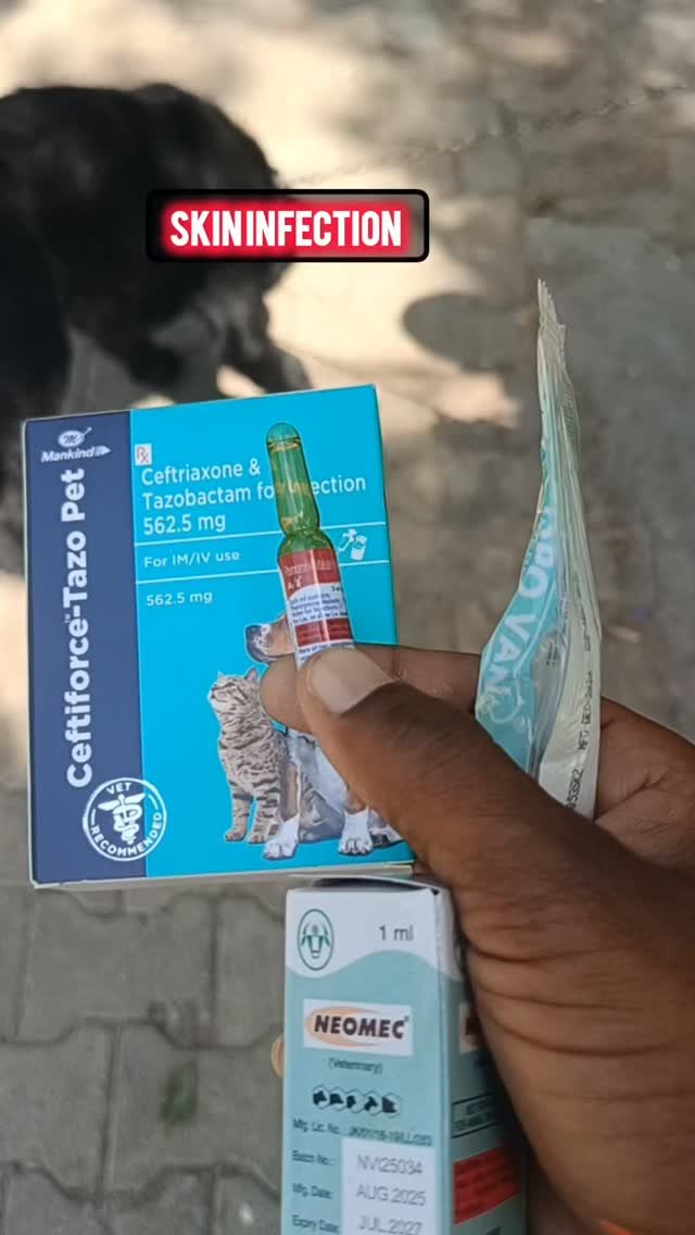 vetguru_01 게시물 이미지: Skin Infection #doctor #vetguru_01 #edit...