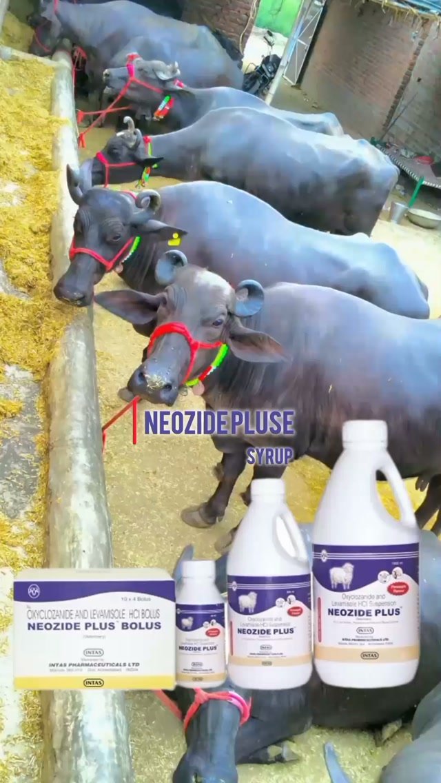 vetguru_01 게시물 이미지: Neozide pluse syrup veterinary use #vetguru_01...