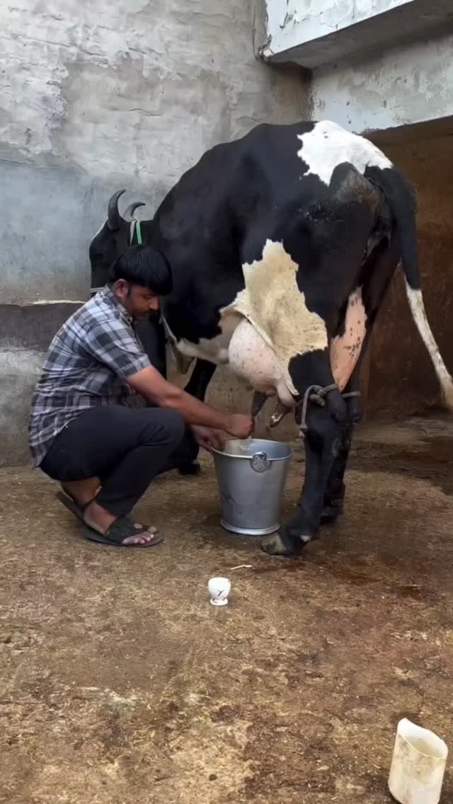 vetguru_01 게시물 이미지: 