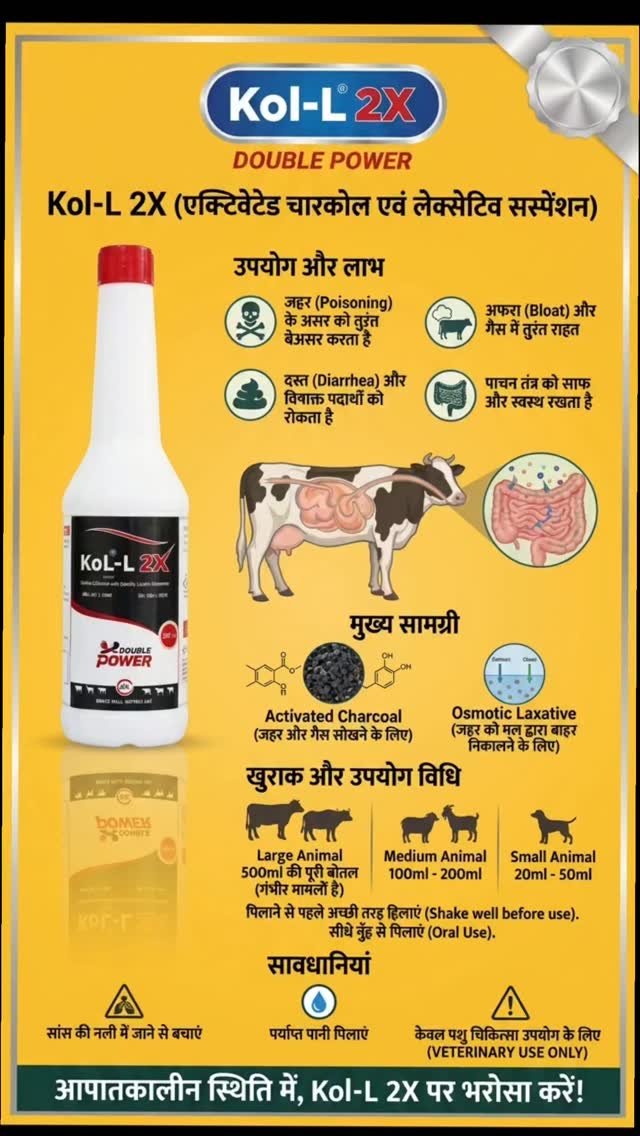 vetguru_01 게시물 이미지: KoL L 2X Liquid Veterinary Use #doctor...