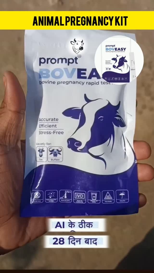 vetguru_01 게시물 이미지: Animal pregnancy kit Veterinary use