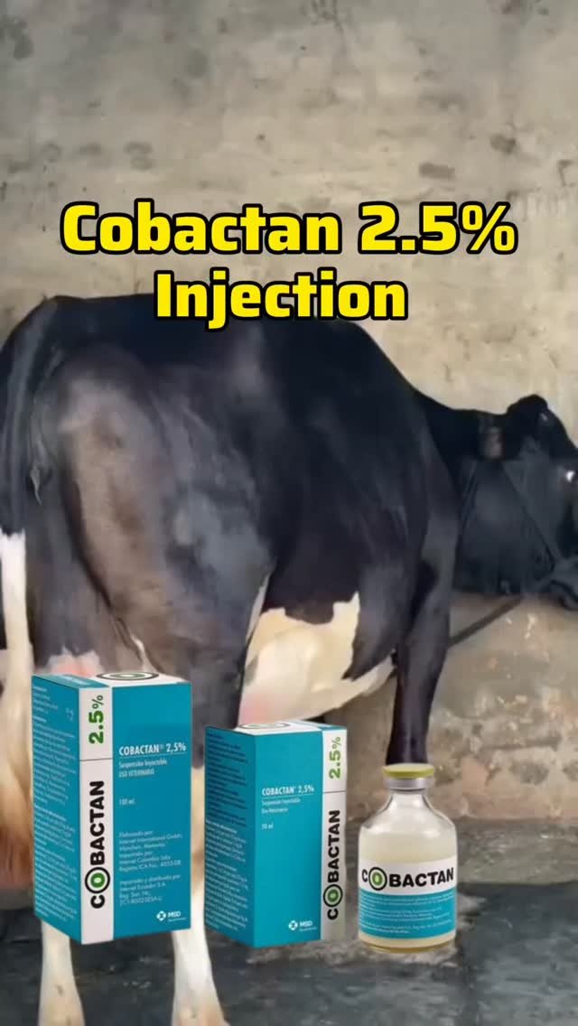 vetguru_01 게시물 이미지: Cobactan 2.5 injection veterinary use #doctor...