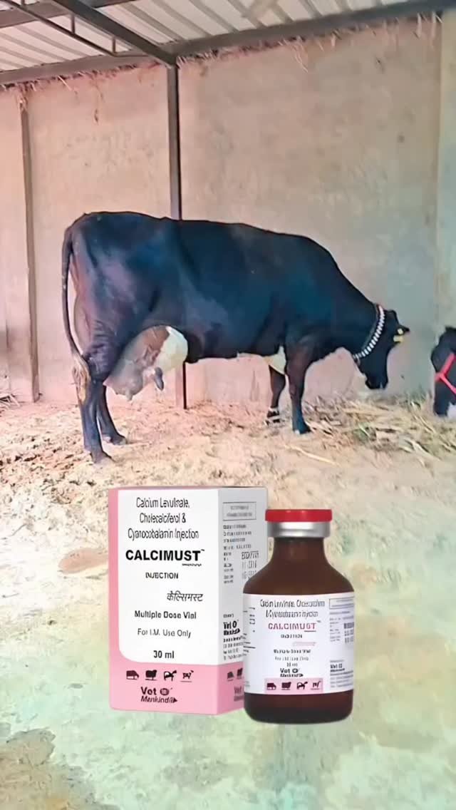 vetguru_01 게시물 이미지: Injection Calcimust Veterinary use