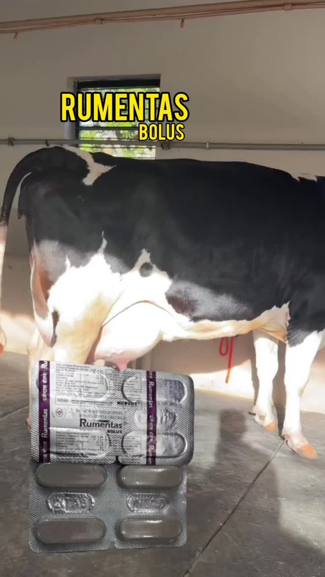 vetguru_01 게시물 이미지: Rumentas Bolus VETERINARY Use #doctor...