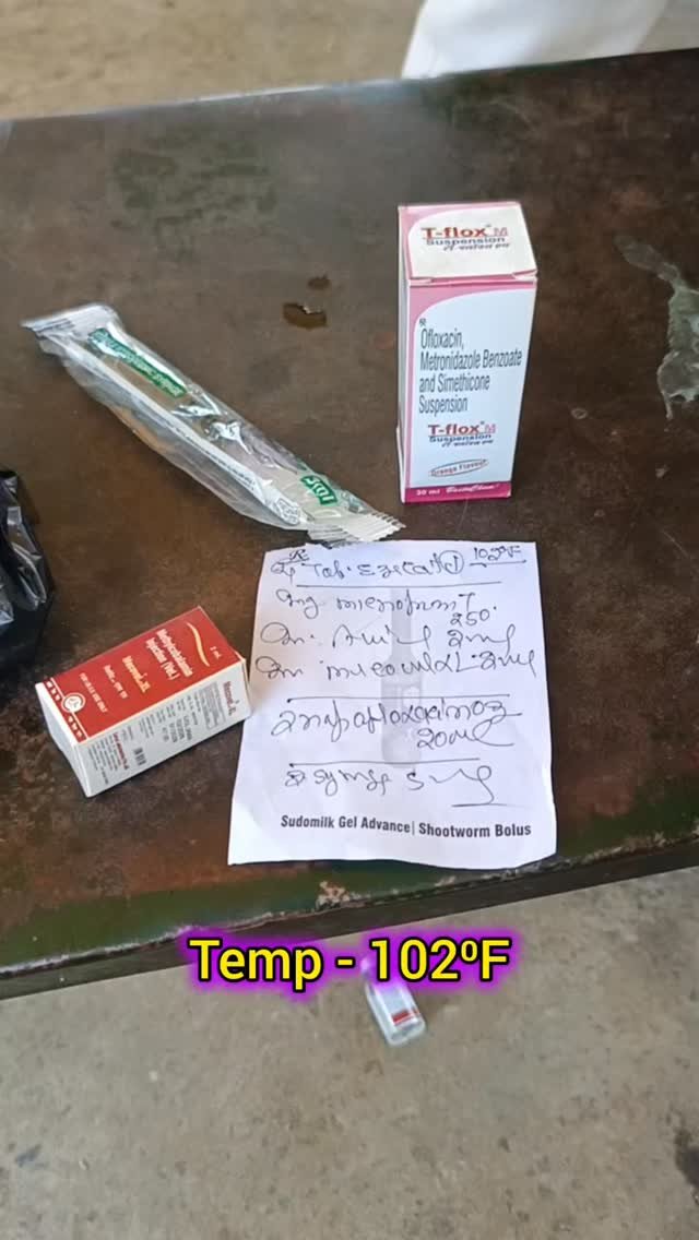 vetguru_01 게시물 이미지: Cat Tmp102 ⁰ F #doctor #vetguru_01 #edit...